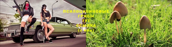 прущая мука Алзамай