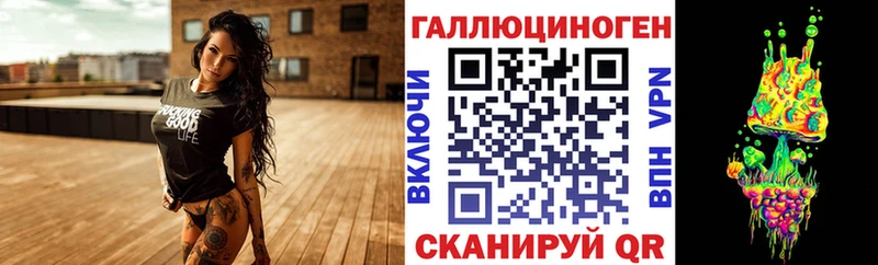 наркотики  Красногорск  omg как войти  Галлюциногенные грибы Psilocybe 